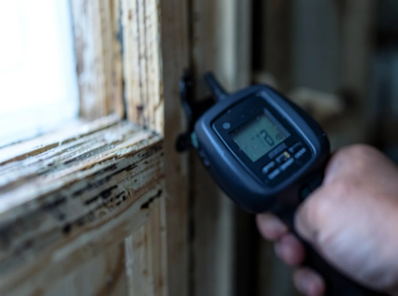 Moisture Inspection And Documentation in Charlemont, MA